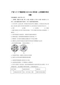 广西“4十N”联盟学校2025-2026学年高一上学期期中考试生物试卷（学生版）