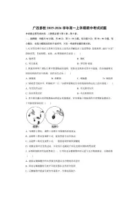广西多校2025-2026学年高一上学期期中考试生物试卷（学生版）