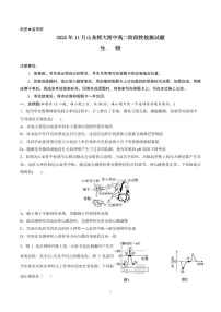 山东师范大学附属中学2025-2026学年高二上学期期中考试 生物试卷