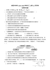 四川省内江市威远中学校2025-2026学年高二上学期12月月考生物试题