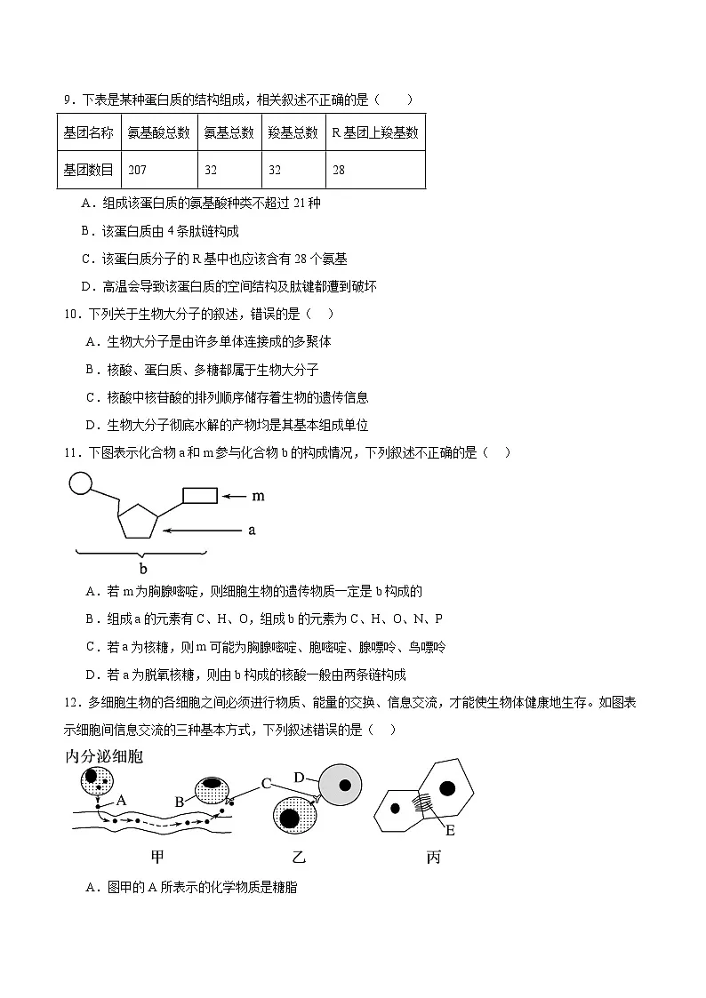 辽宁省辽西重点高中2025-2026学年高一上学期期中考试生物试卷(含答案)第3页