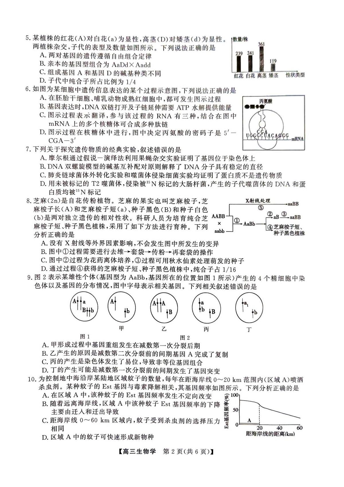 2025年榆林市高三生物联考试卷第2页
