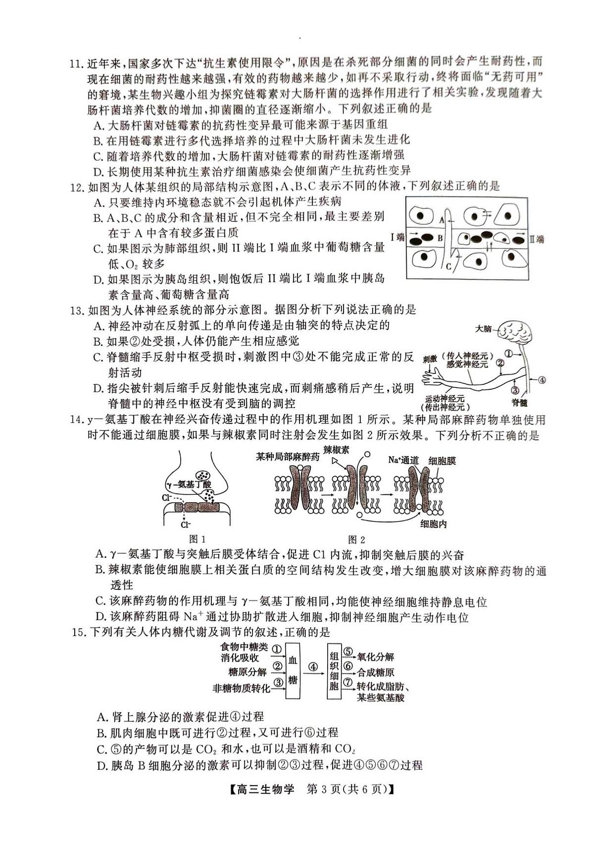2025年榆林市高三生物联考试卷第3页