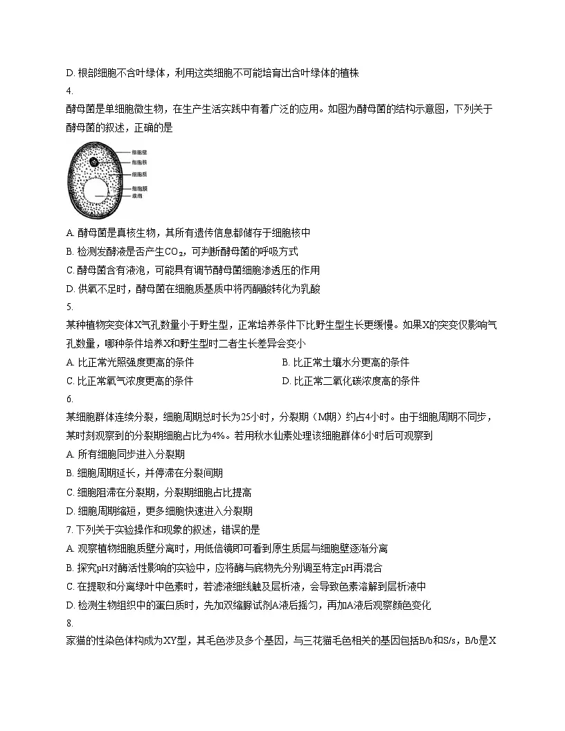 2025年点石联考东北“三省一区”高三年级12月份联合考试生物试题(含答案)第2页