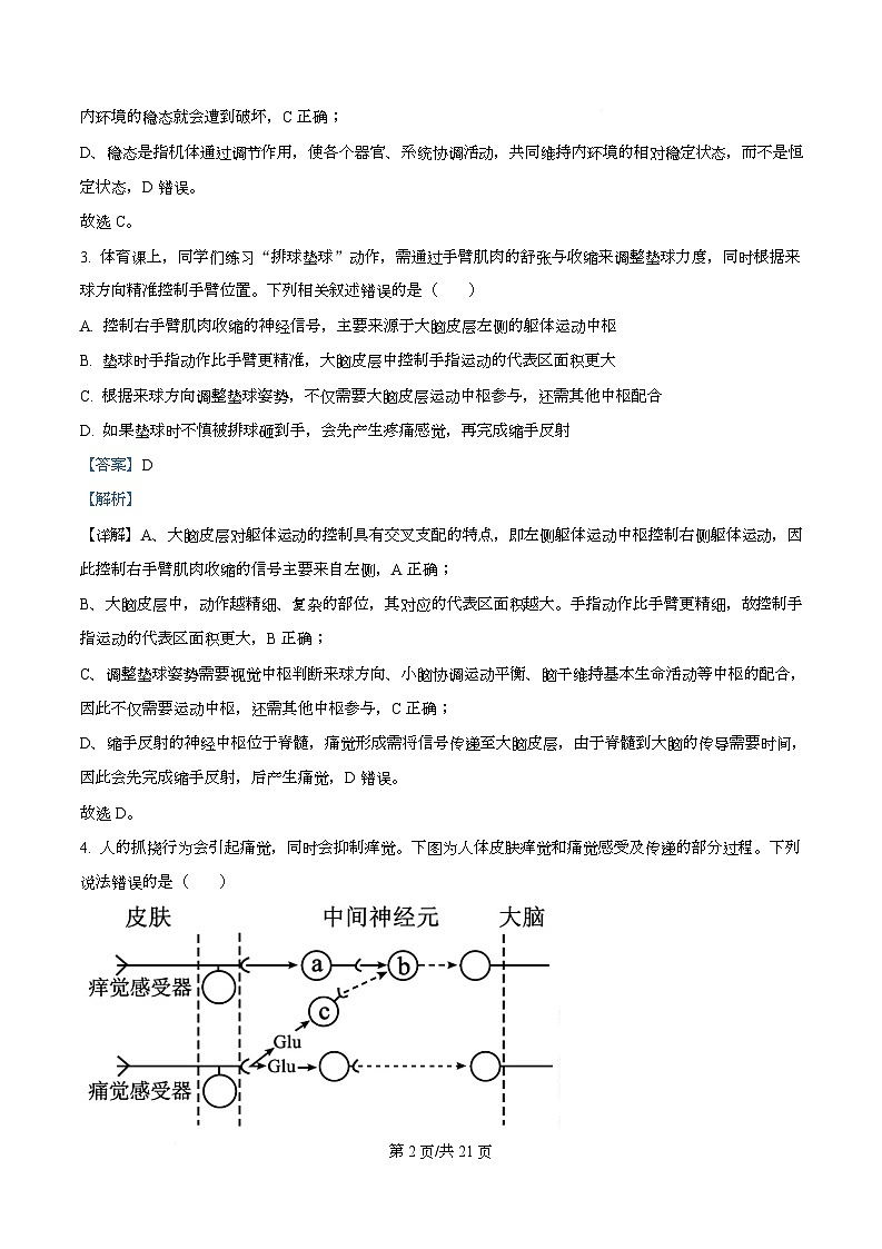 四川省仁寿第一中学南校区2025-2026学年高二上学期12月月考生物试题 Word版含解析第2页