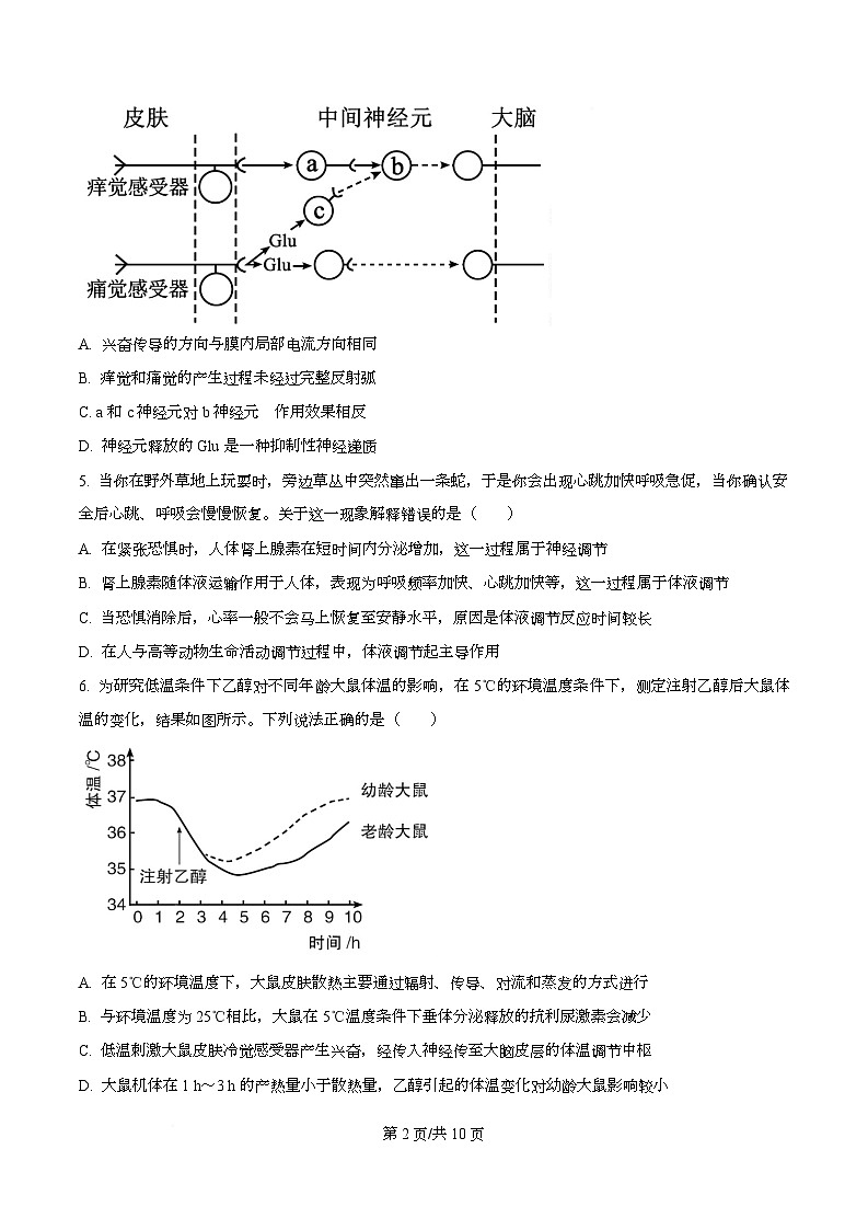 四川省仁寿第一中学南校区2025-2026学年高二上学期12月月考生物试题(原卷版)第2页