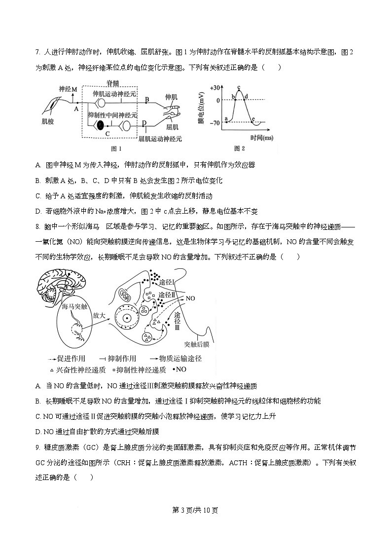 四川省仁寿第一中学南校区2025-2026学年高二上学期12月月考生物试题(原卷版)第3页