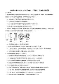 辽宁省辽西重点高中2025-2026学年高一上学期期中考试生物试卷（含答案）