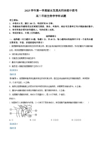 浙江省丽水发展共同体2025-2026学年高二上学期11月期中生物试卷（含答案）