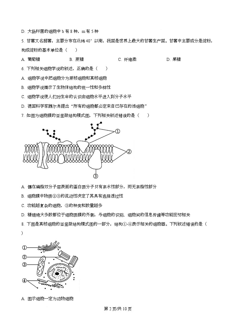 浙江省台州市六校联盟2025-2026学年高一上学期11月期中生物试题(原卷版)第2页