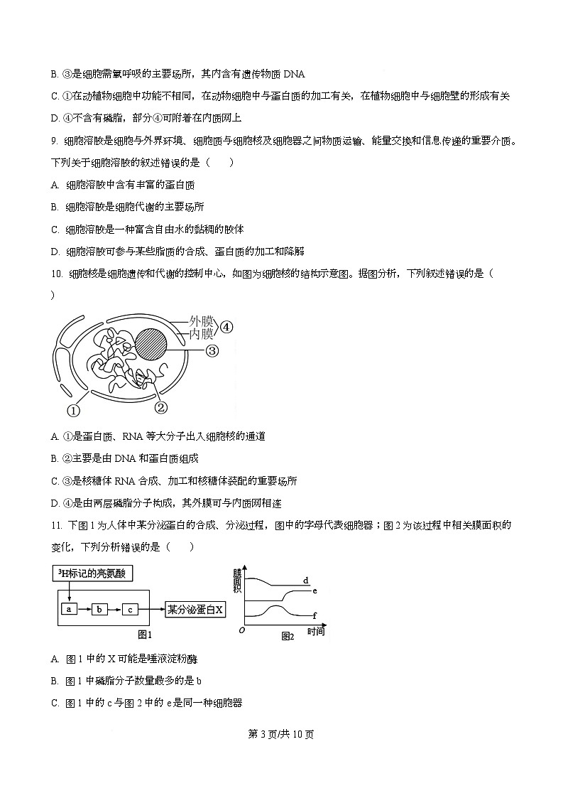 浙江省台州市六校联盟2025-2026学年高一上学期11月期中生物试题(原卷版)第3页