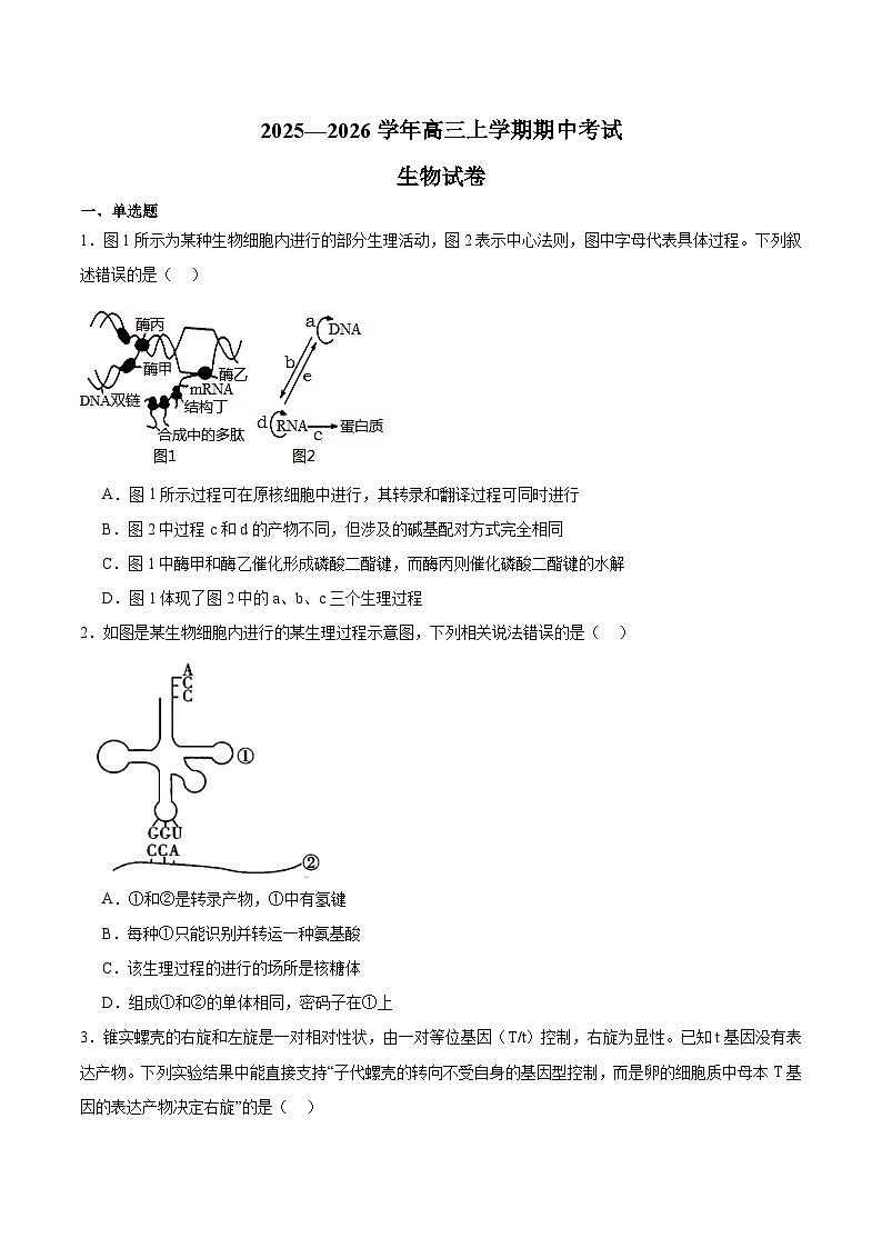 湖南省常德市重点高中2026届高三上学期期中考试 生物试卷(含答案)第1页