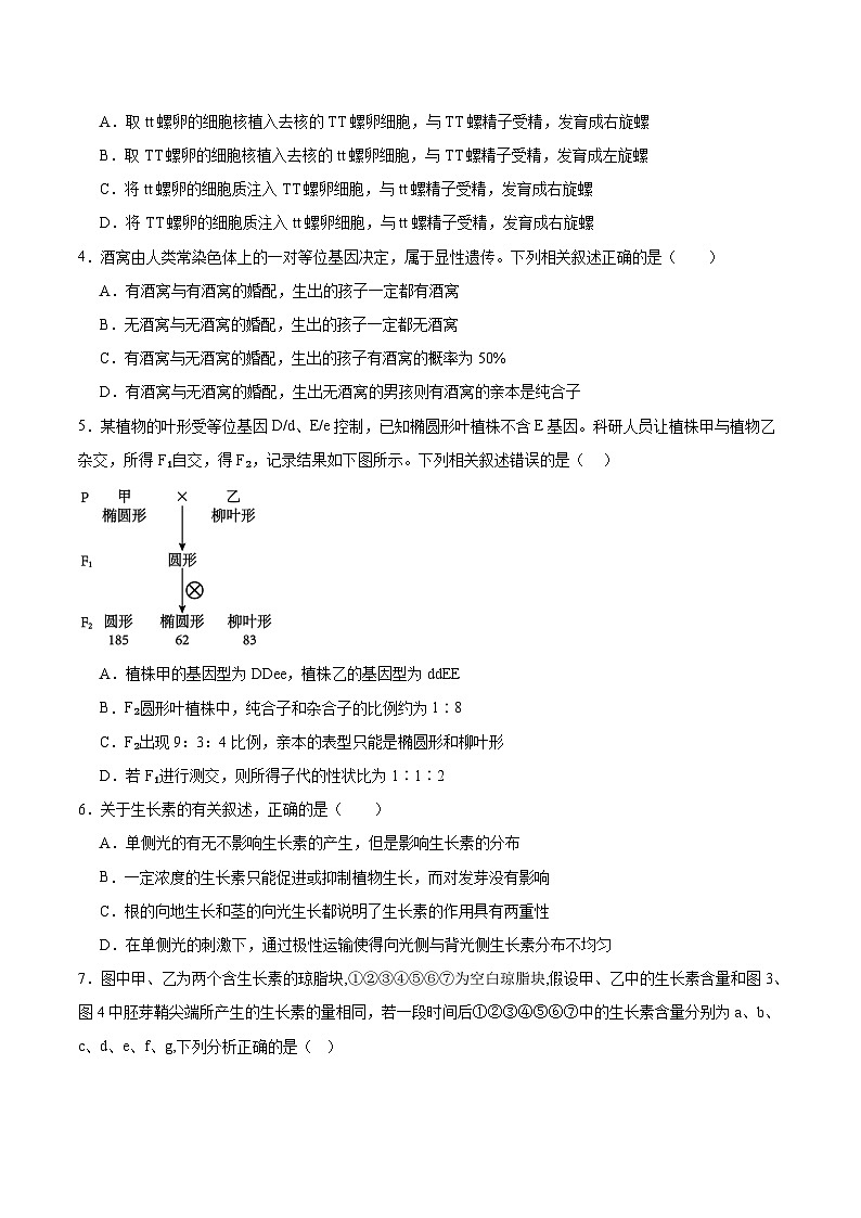 湖南省常德市重点高中2026届高三上学期期中考试 生物试卷(含答案)第2页