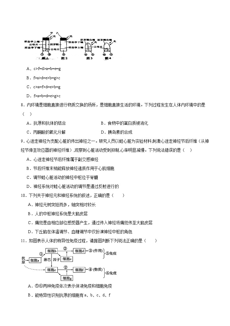 湖南省常德市重点高中2026届高三上学期期中考试 生物试卷(含答案)第3页