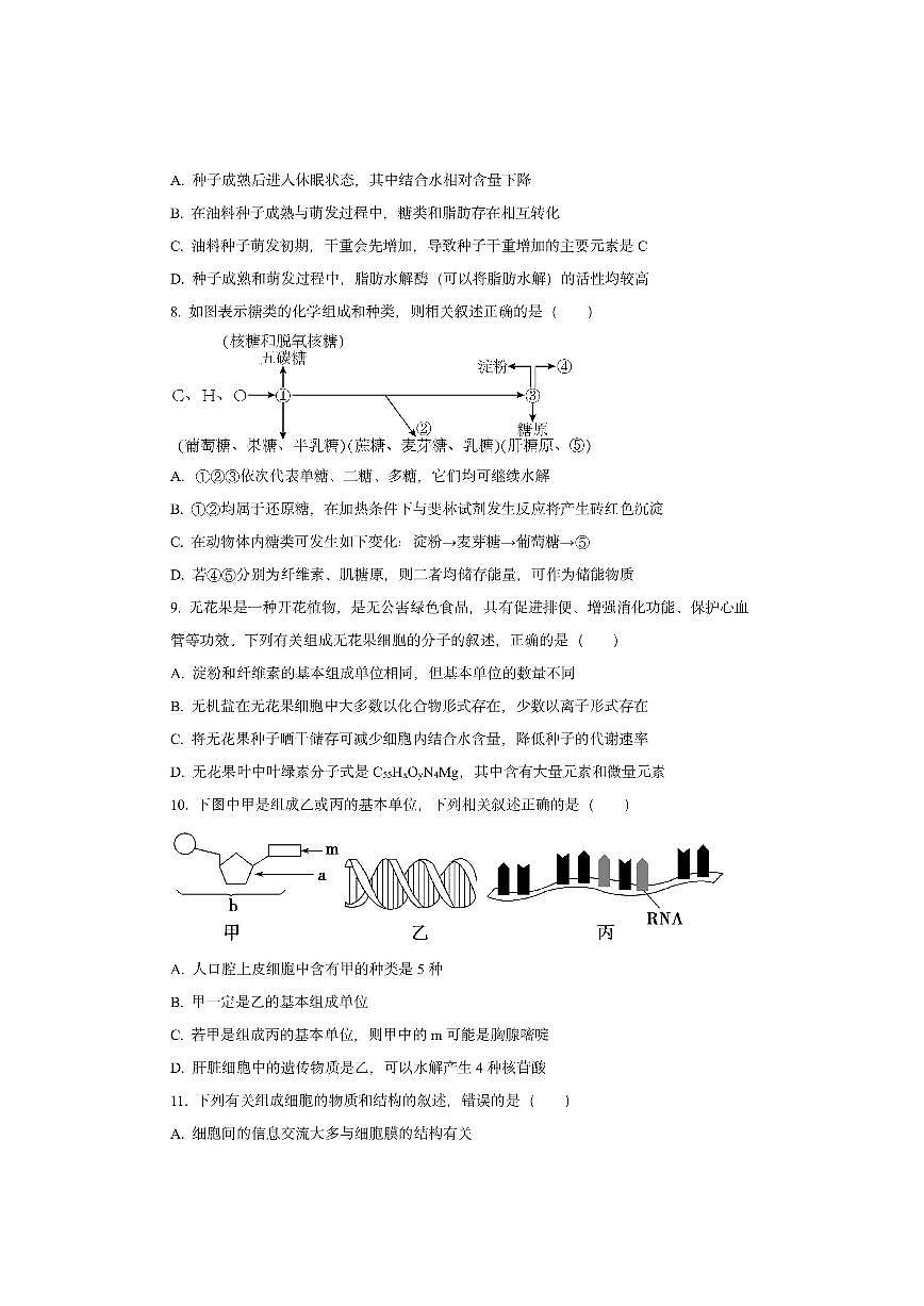 湖南省衡阳市第一中学2025-2026学年高一上学期期中考试生物试卷(学生版)第3页