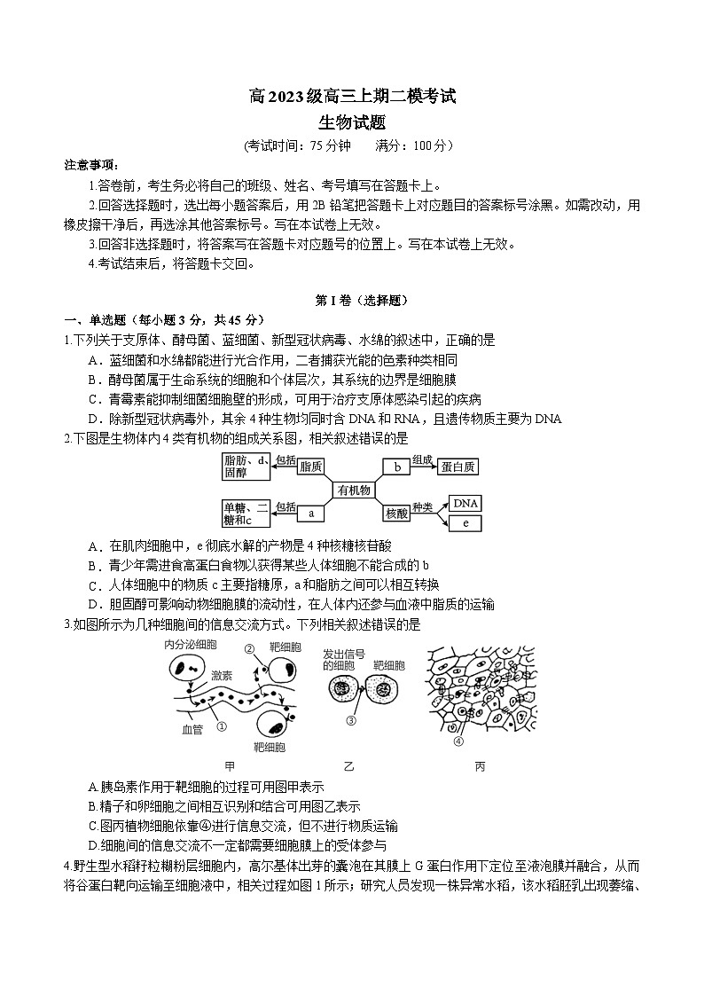 四川省遂宁市重点高中2026届高三上学期二模考试 生物试卷(含答案)第1页
