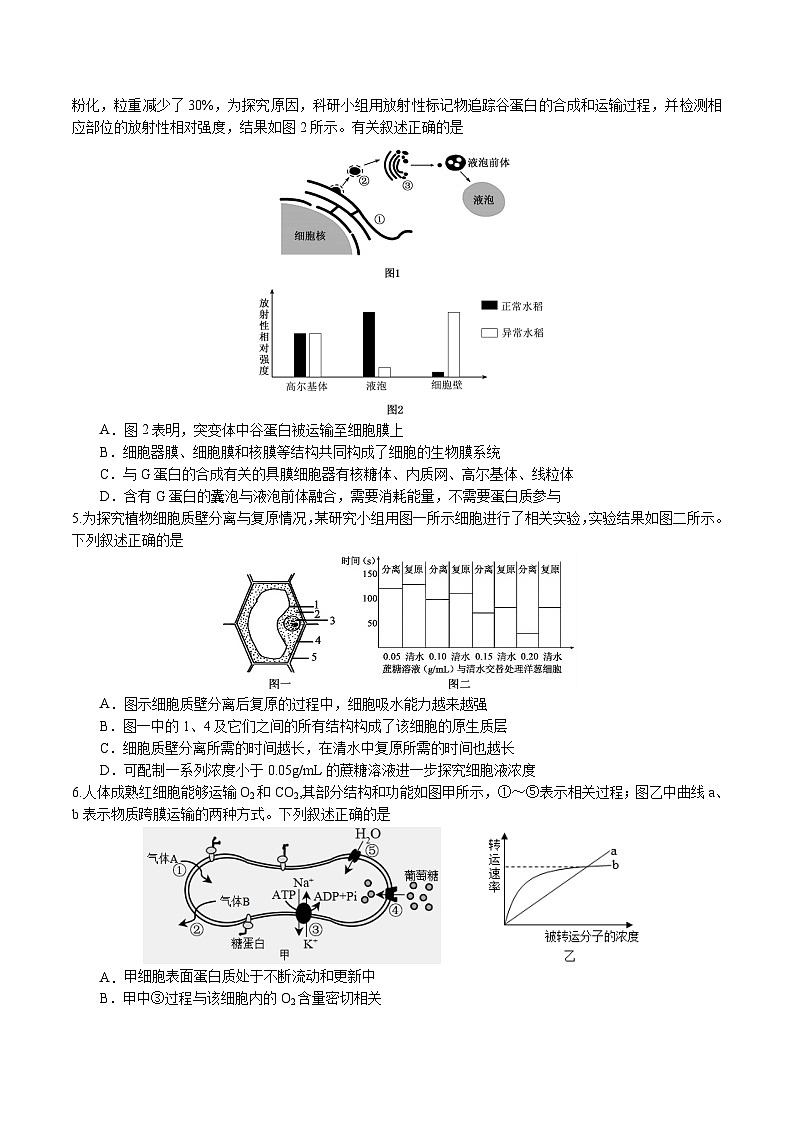 四川省遂宁市重点高中2026届高三上学期二模考试 生物试卷(含答案)第2页