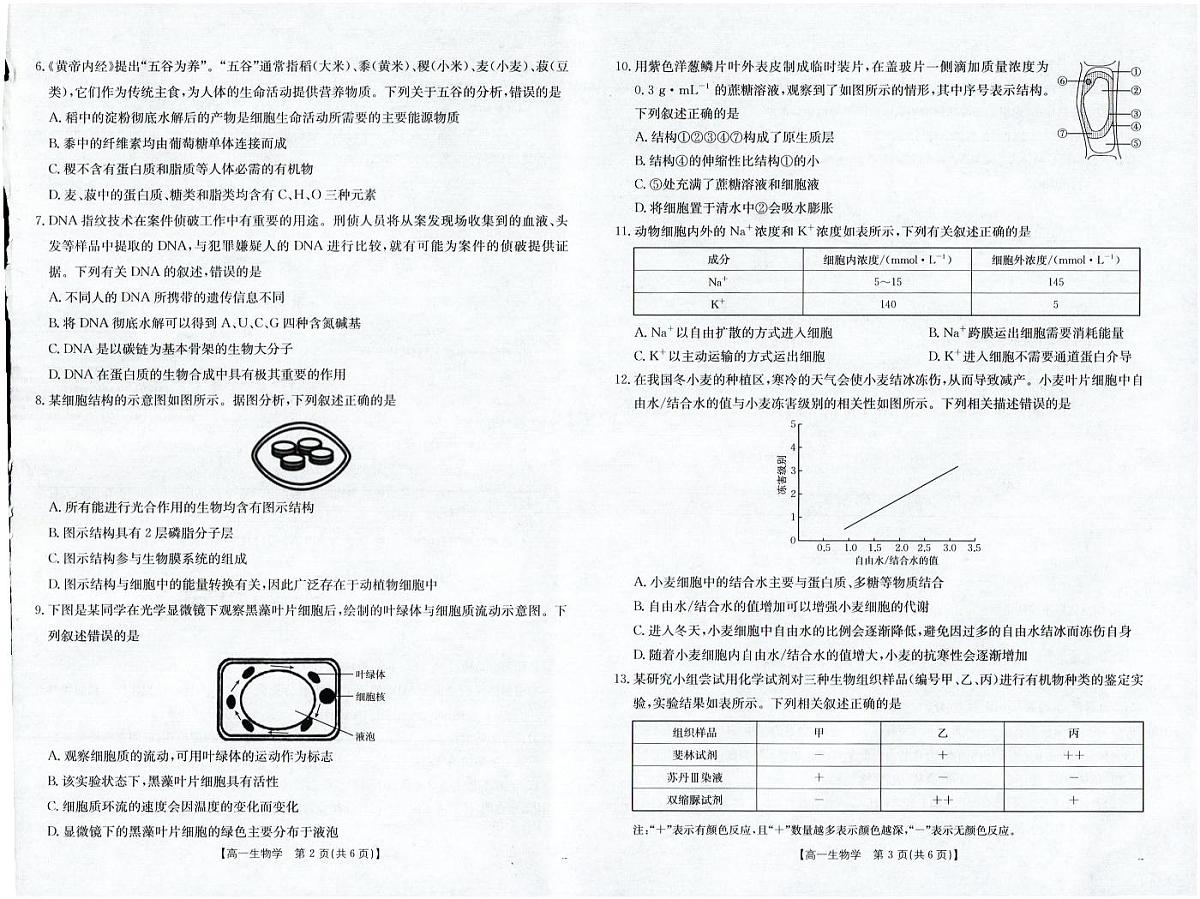 金太阳福建省南平市2025—2026学年高一第一学期期中质量检测生物试卷(含答案)第2页