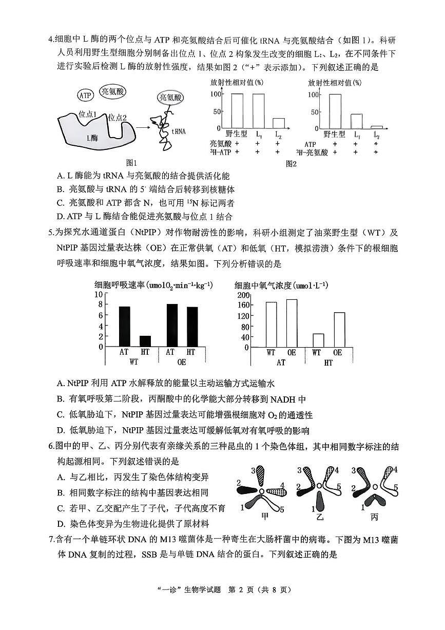 四川省达州市普通高中2026届高三上学期12月第一次诊断性测试生物试题(含答案)第2页
