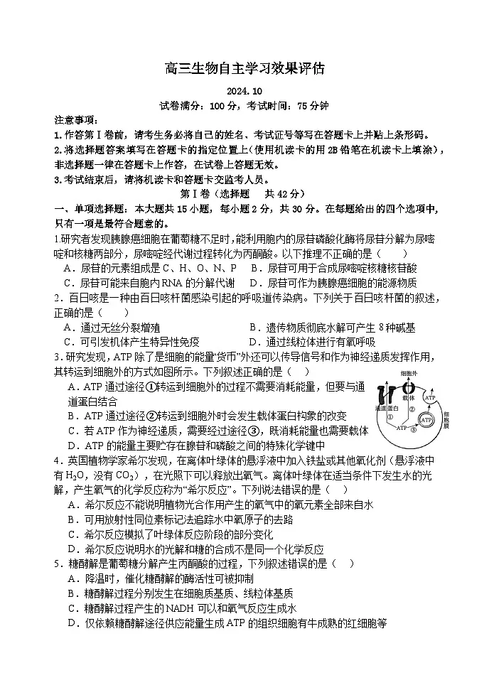江苏省扬州市广陵区江苏省扬州中学2024-2025学年高三上学期10月月考生物试题第1页