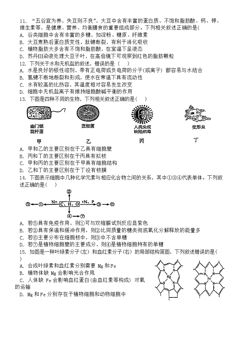 江苏省扬州市广陵区扬州市第一中学2024-2025学年高一上学期11月期中生物试题第3页