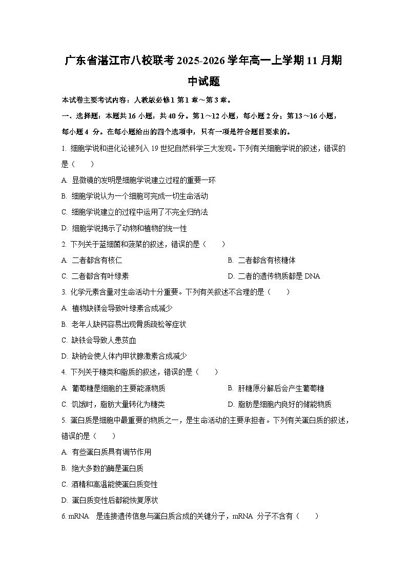 广东省湛江市八校联考2025-2026学年高一上学期11月期中生物试卷(学生版)第1页