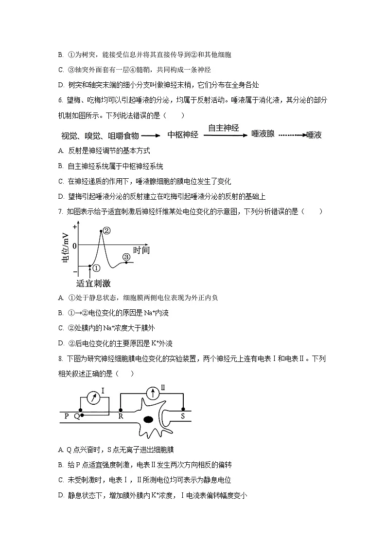 浙江省宁波三锋联盟2025-2026学年高二上学期11月期中生物试卷(学生版)第2页