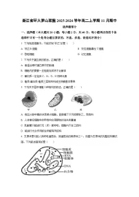 浙江省环大罗山联盟2025-2026学年高二上学期11月期中生物试卷（学生版）