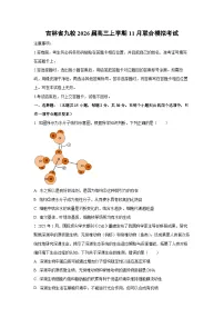 吉林省九校2026届高三上学期11月联合模拟考试生物试卷(学生版)