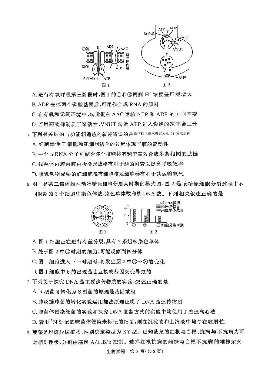 生物第2页