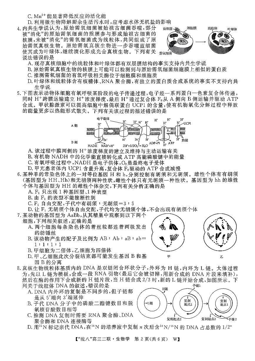 2025-2026学年皖南八校高三上学期12月生物试题及答案第2页