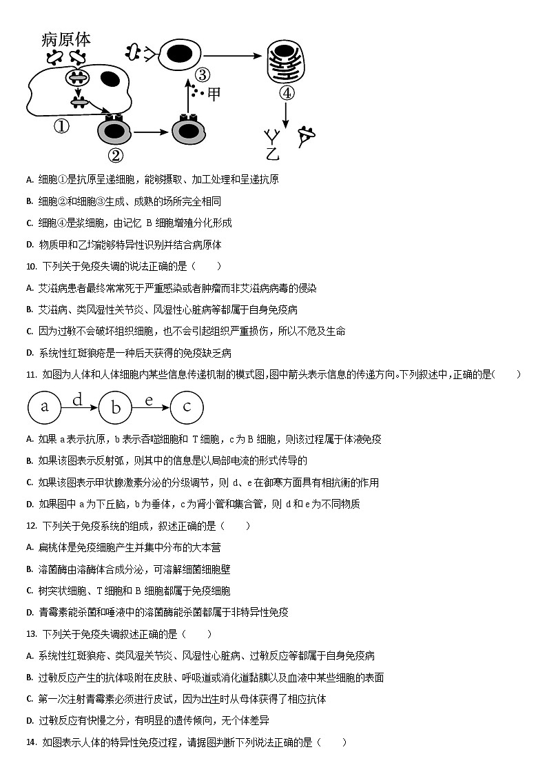 吉林省通化市梅河口市第五中学2025-2026学年高二上学期12月月考生物试题第3页