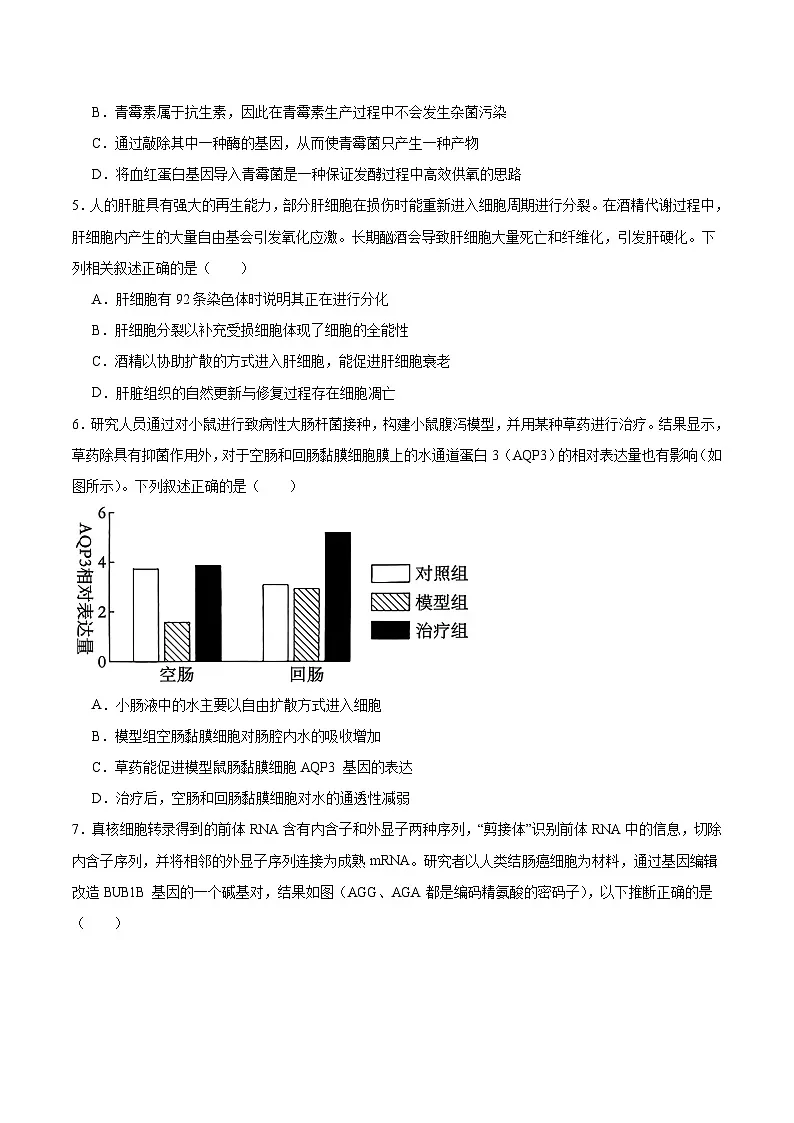 福建省厦门双十中学2026届高三上学期期中考试生物试卷(Word版附答案)第2页