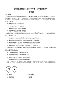 河南省新未来2025-2026学年高一上学期11月期中考试生物试卷（Word版附答案）