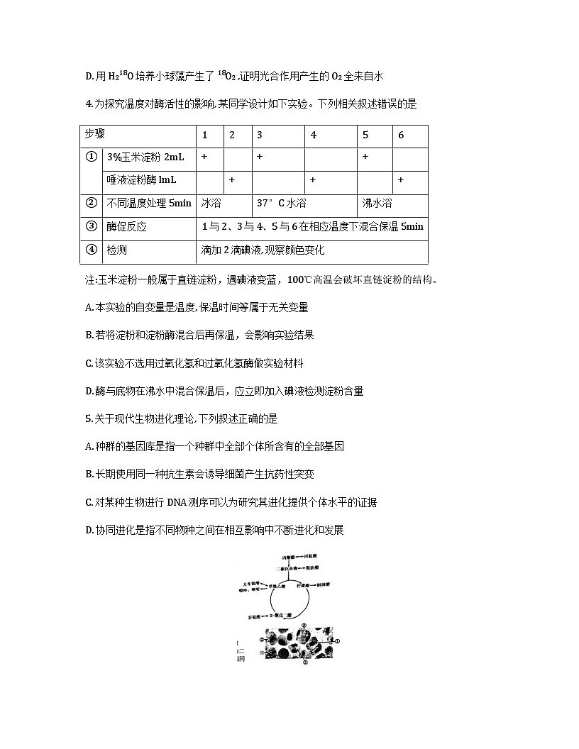 江苏省盐城市2026届高三上学期期中考试生物试卷(Word版附答案)第2页