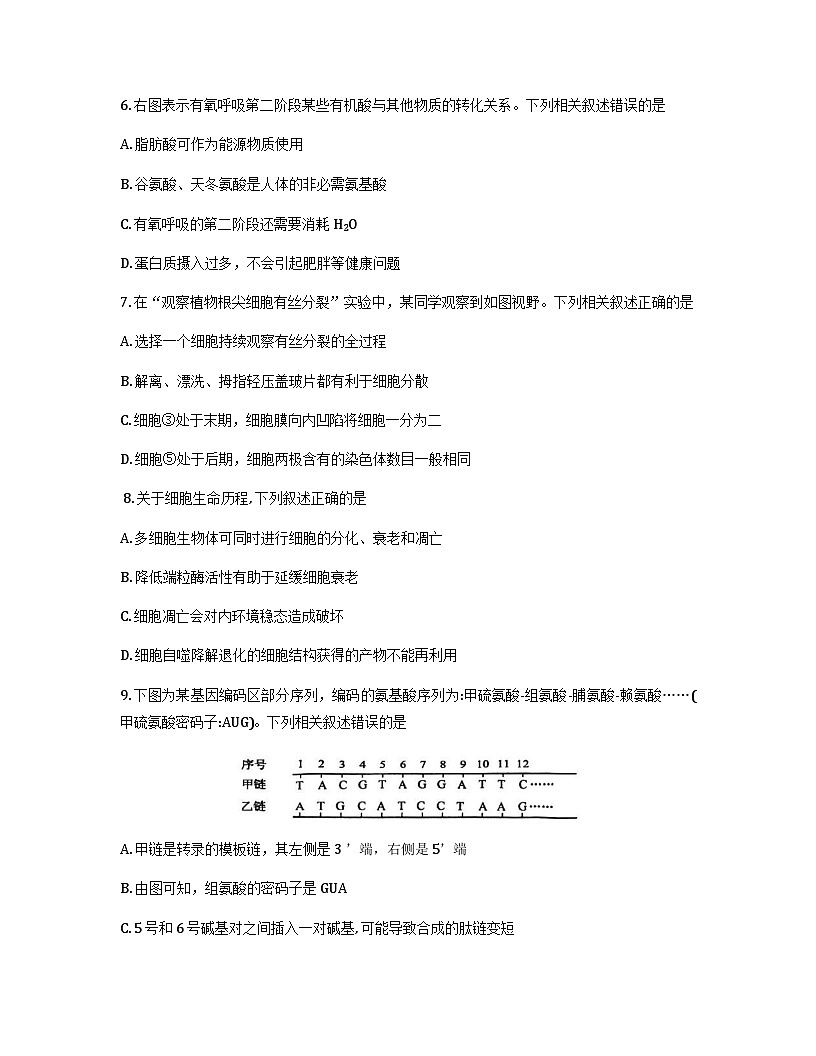 江苏省盐城市2026届高三上学期期中考试生物试卷(Word版附答案)第3页