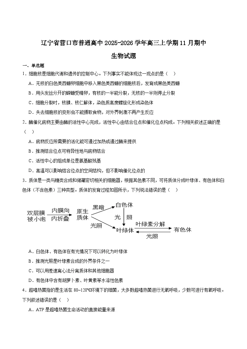 辽宁省营口市普通高中2026届高三上学期11月期中考试生物试卷(Word版附答案)第1页