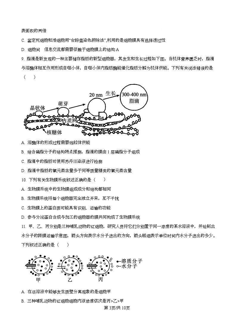 湖南省长沙市天心区长沙市长郡中学2025-2026学年高一上学期12月月考生物试题(原卷版)第3页