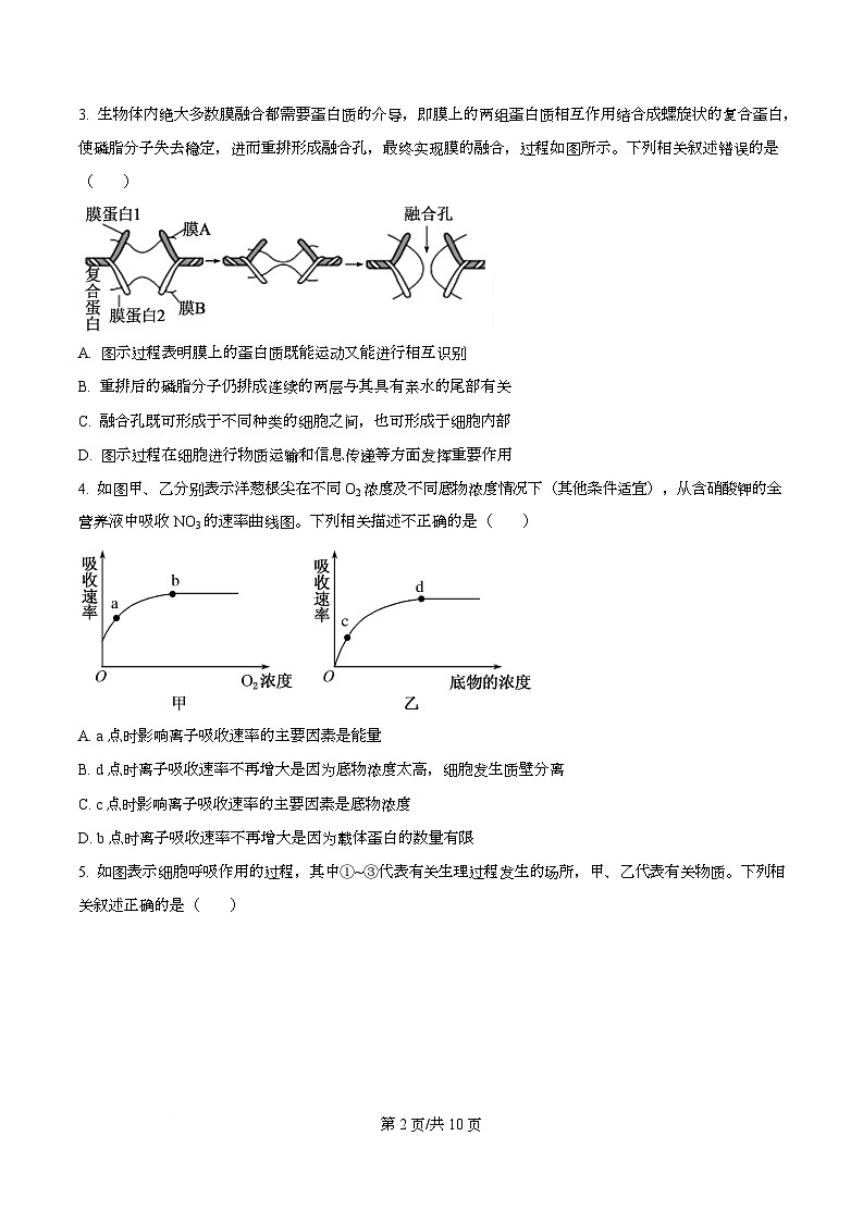 2026届湖北省部分高中联考二模生物试题(原卷版)第2页