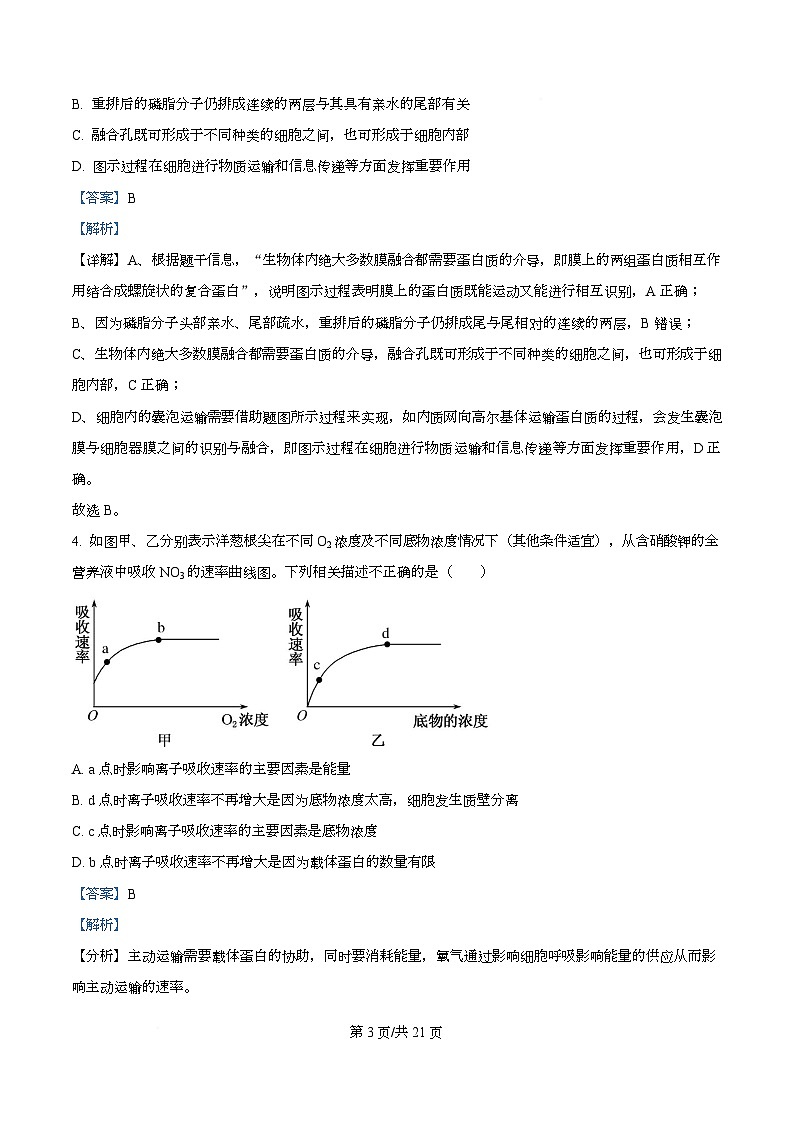 2026届湖北省部分高中联考二模生物试题 Word版含解析第3页