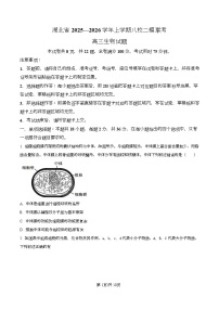 湖北省八校联考2026届高三上学期二模生物试卷（Word版附解析）