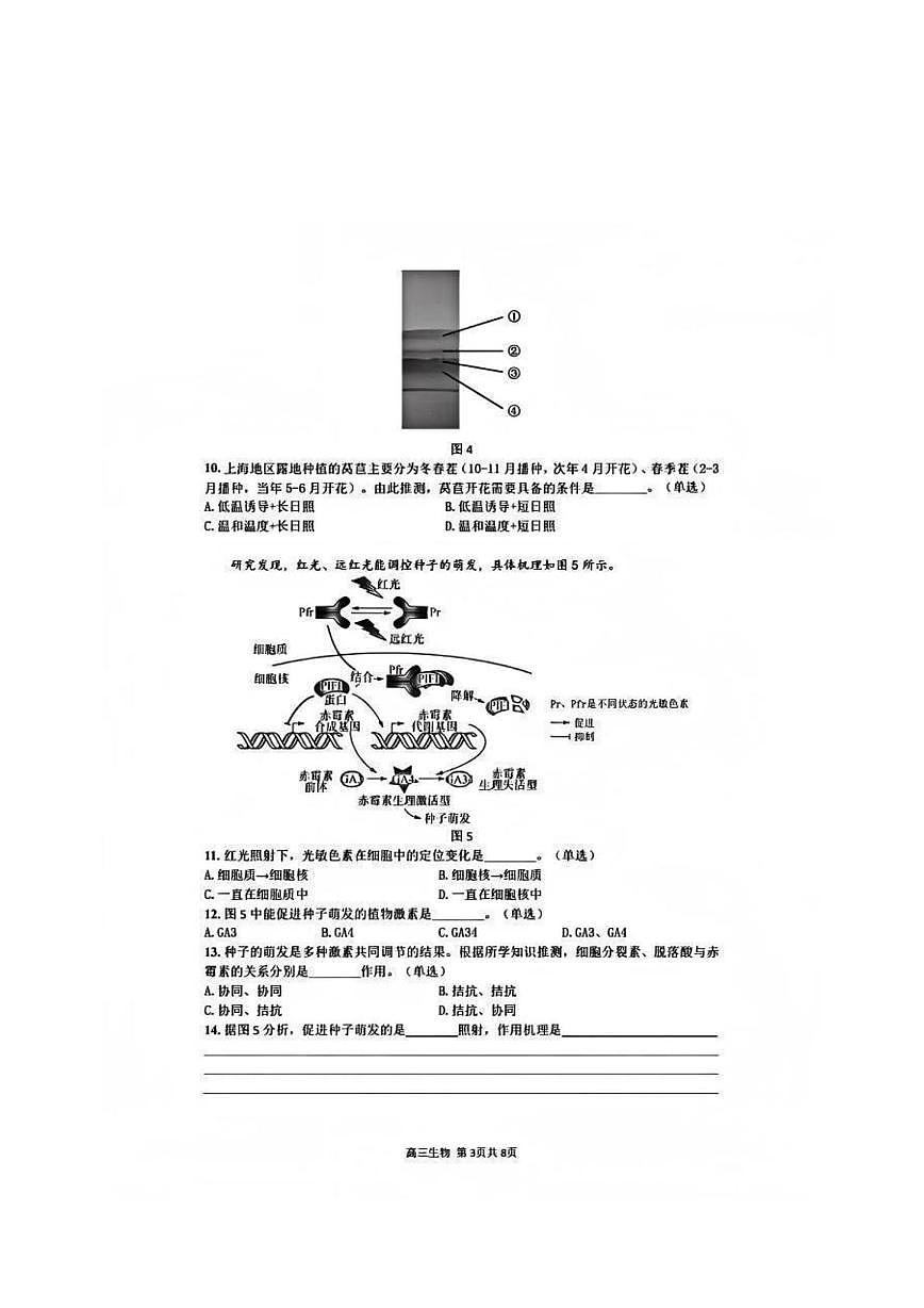 上海市金山区2025-206学年高三上学期质量监控生物试卷(月考)第3页
