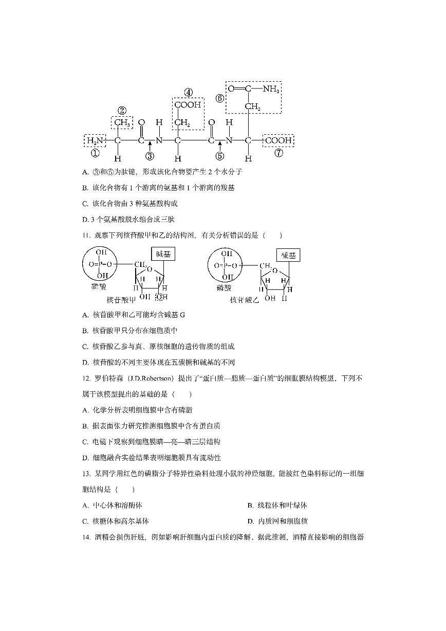 河北省张家口市2025-2026学年高一上学期期中联考生物试卷(学生版)第3页