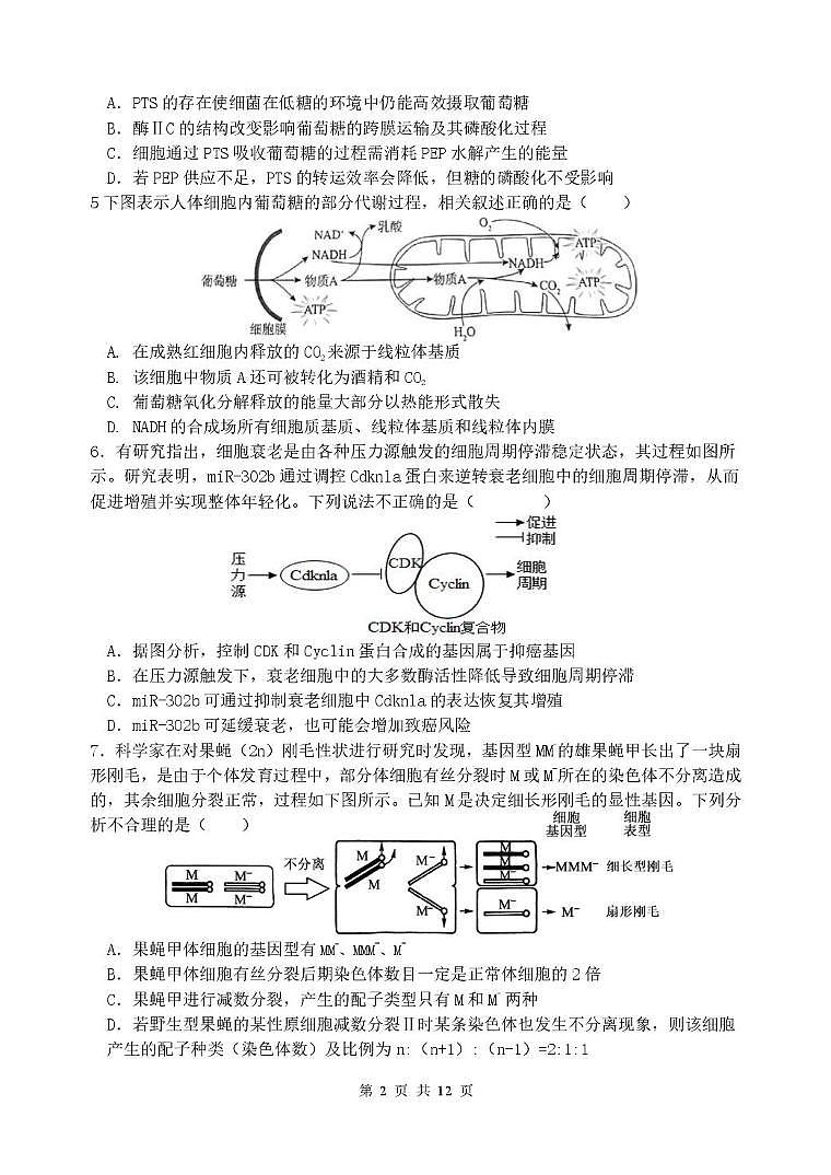 江苏省扬州市七校联盟2025-2026学年高三上学期第二次联考生物试题(月考)第2页