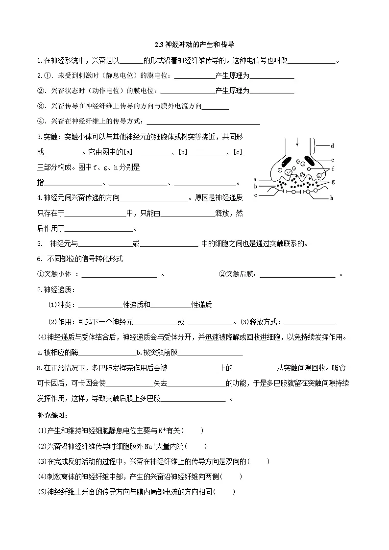 人教版2019高中生物 选择性必修1+2 高二.上期知识清单3 综合练习第1页