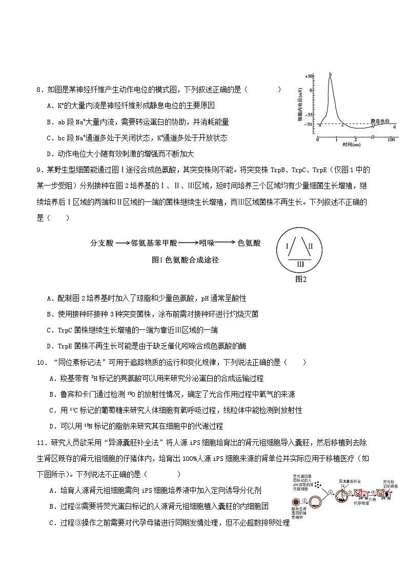 山东师范大学附属中学2026届高三上学期摸底考试生物试卷(Word版附答案)第3页