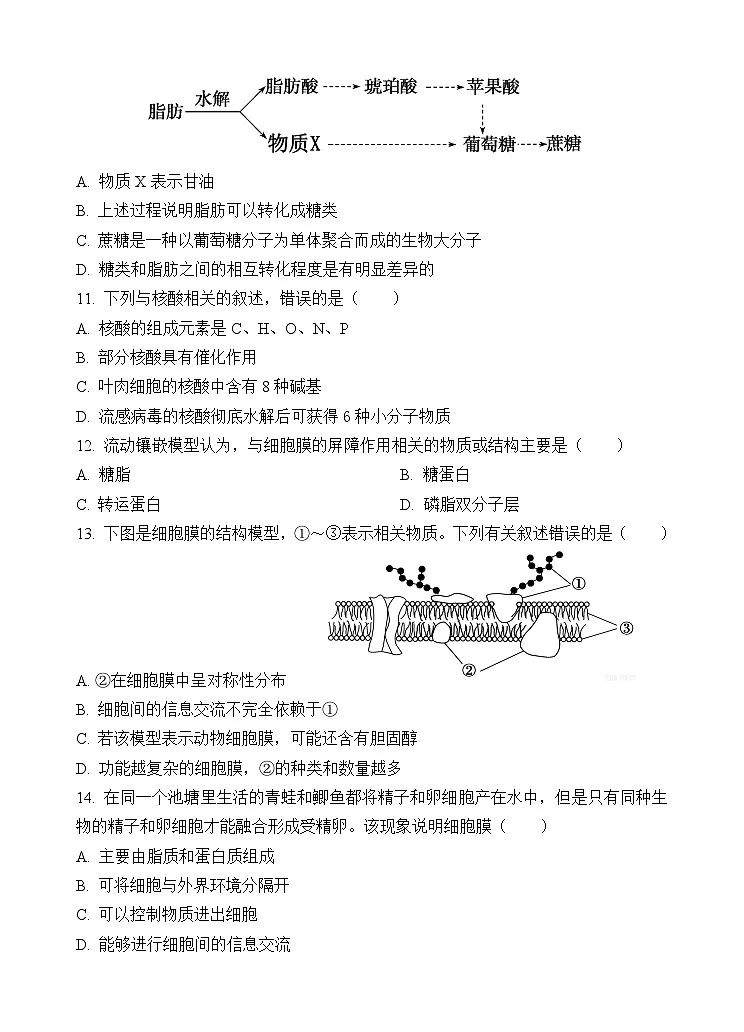 玉溪一中2028届高一上学期第二次月考生物试题第3页