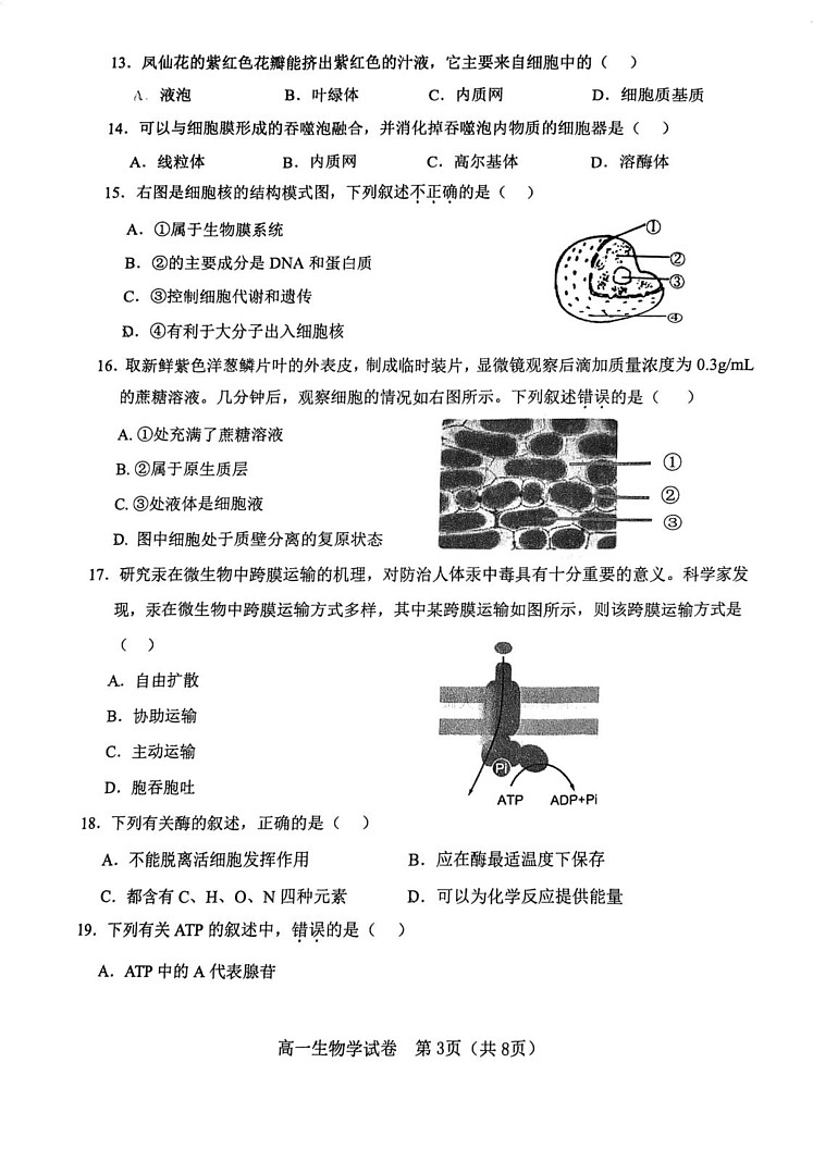 天津市河区2024-2025学年高一上学期期末生物试卷第3页