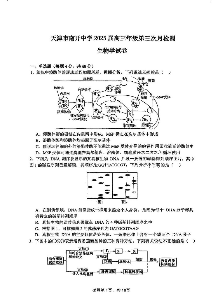 天津市南开中学2024-2025学年高三上学期第三次月考(期末)生物试卷第1页