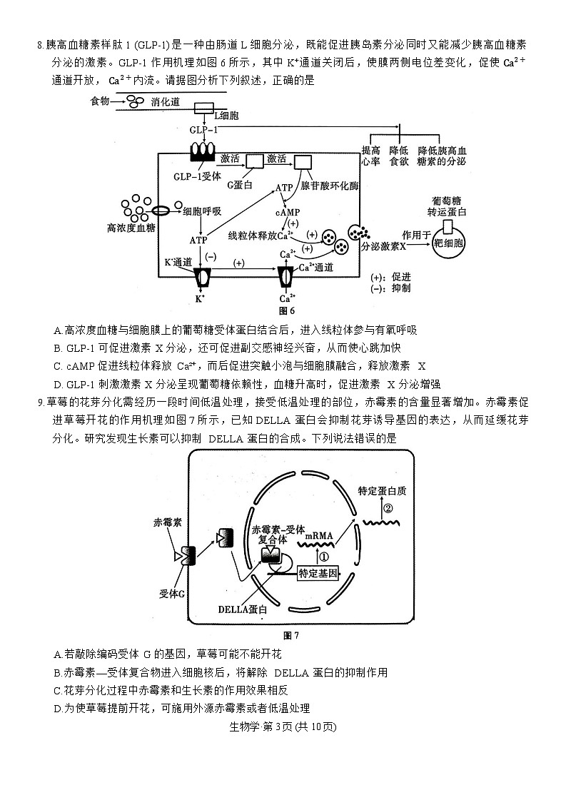 重庆市第八中学校2025-2026学年高三上学期12月月考生物试卷第3页
